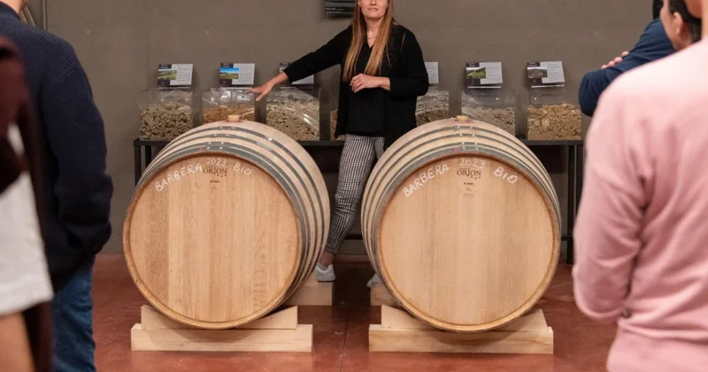 Weingut in den Hügeln von Parma mit Verkostung