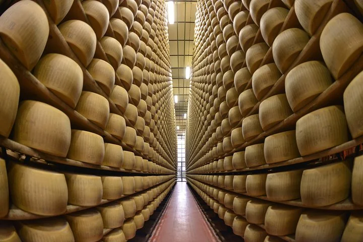 A long, narrow aisle between floor-to-ceiling shelves of Parmigiano wheels in an aging room